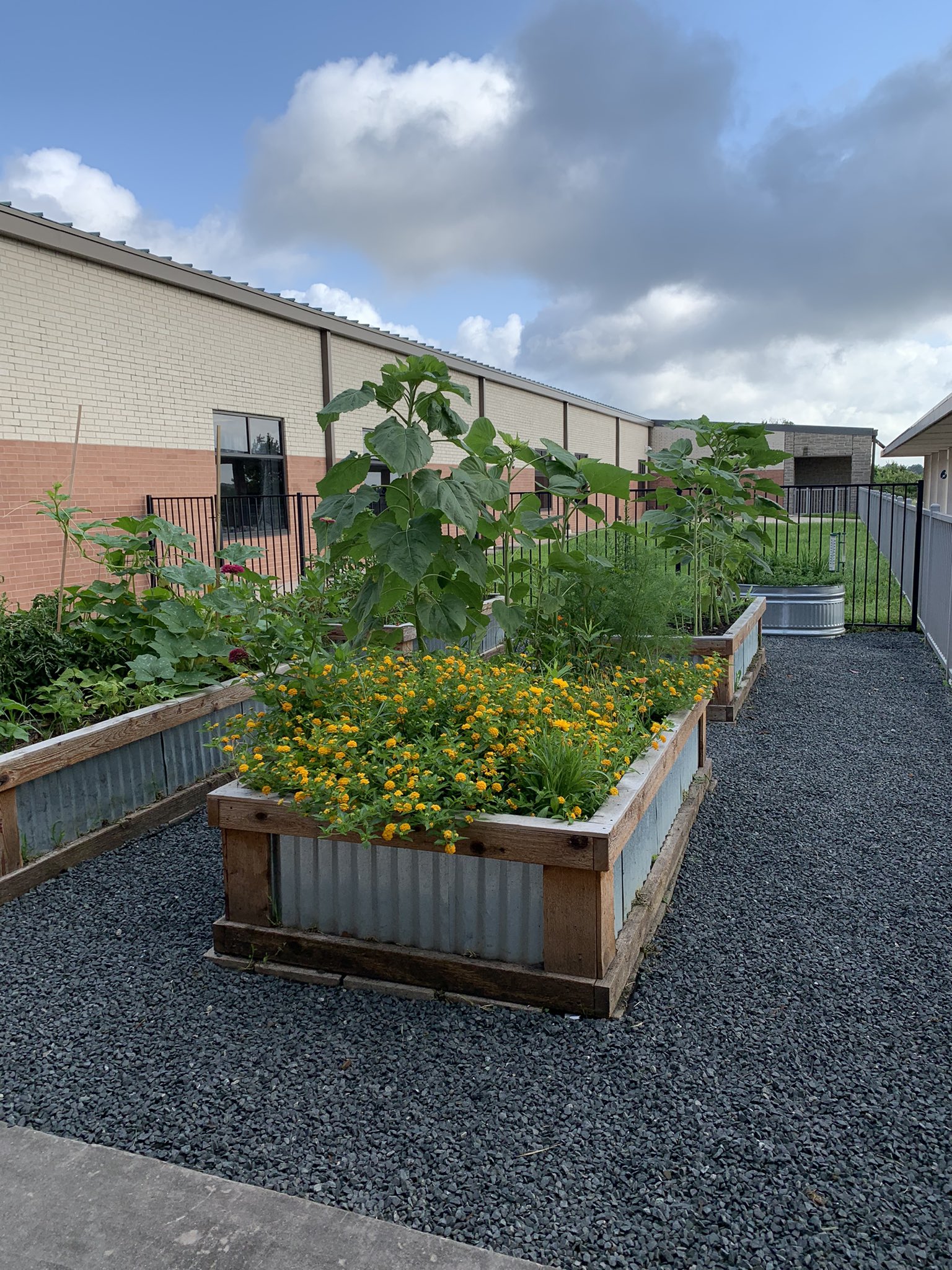 Campus “Hustle Projects” continue to be completed with support of local ...